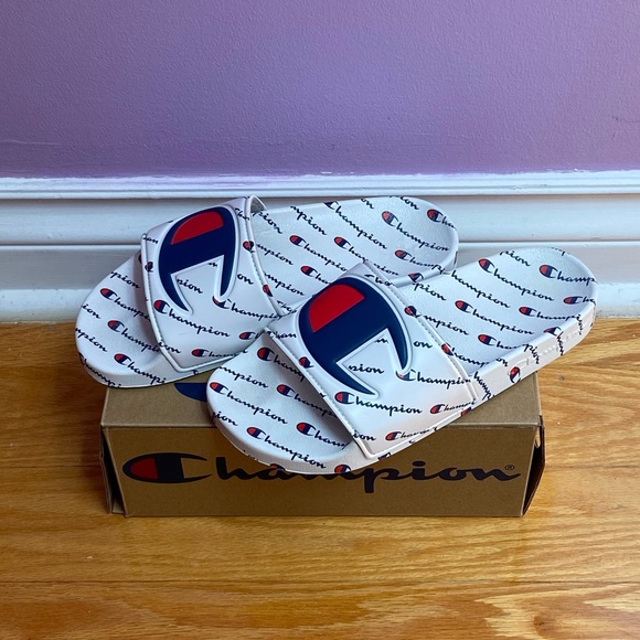 Champion Slides - Picture 2 of 3